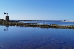 saline-4