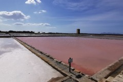 saline-7