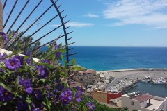sciacca-2